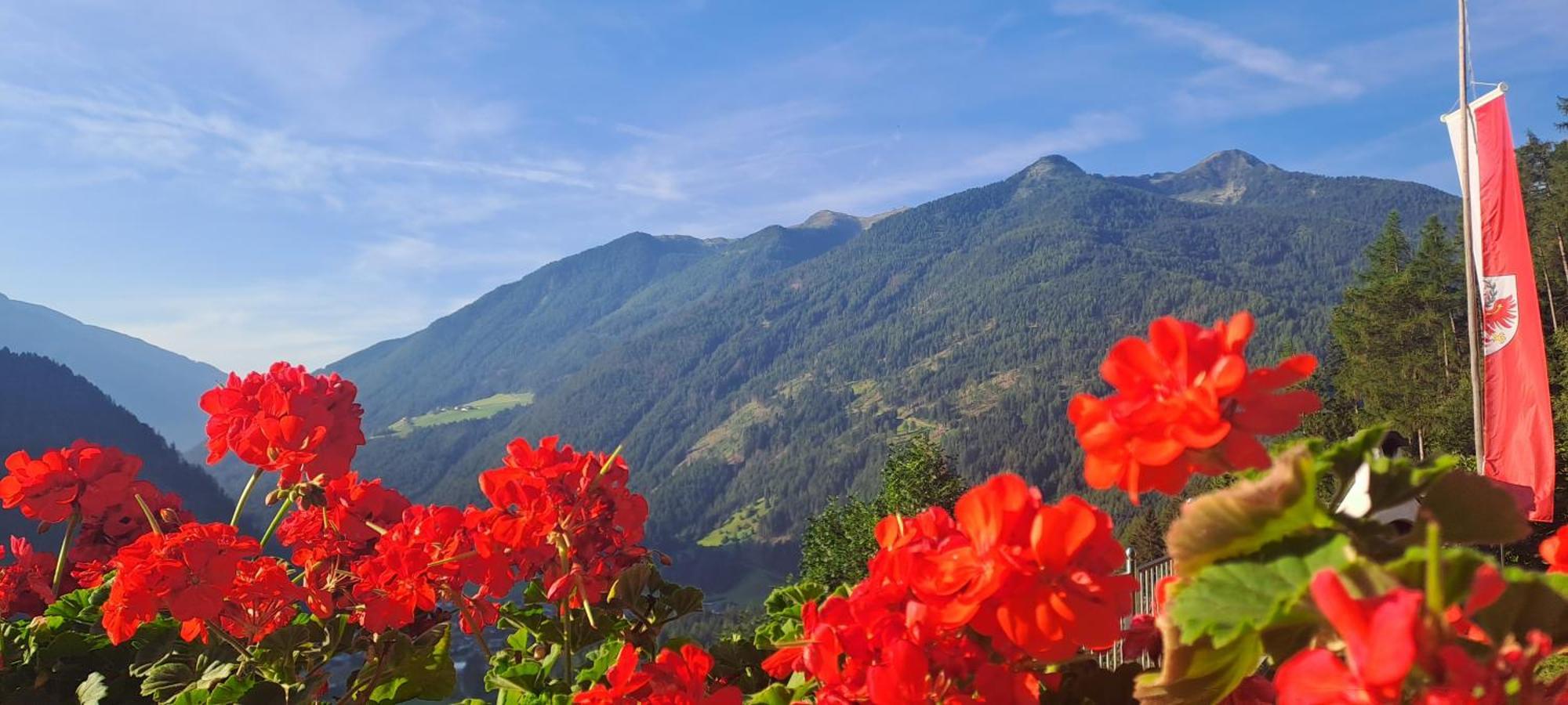 ヴァッレ・アウリーナGrossstahlhof Mountain & Panorama Viewアパートメント エクステリア 写真